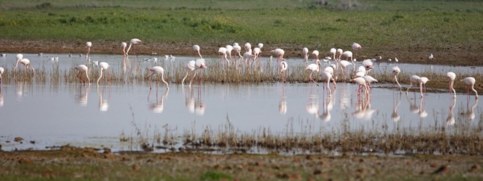 Laguna Dulce bei Campillos, ES