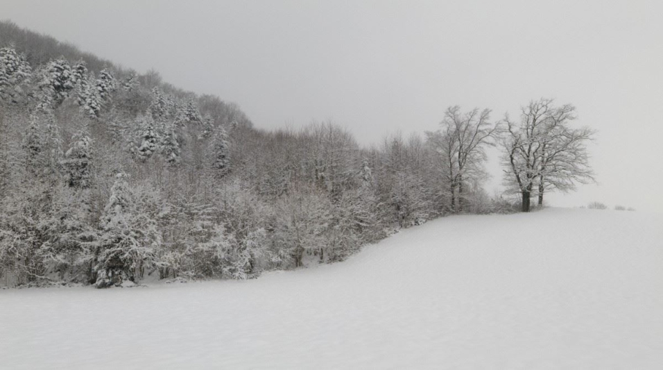 Jura, CH