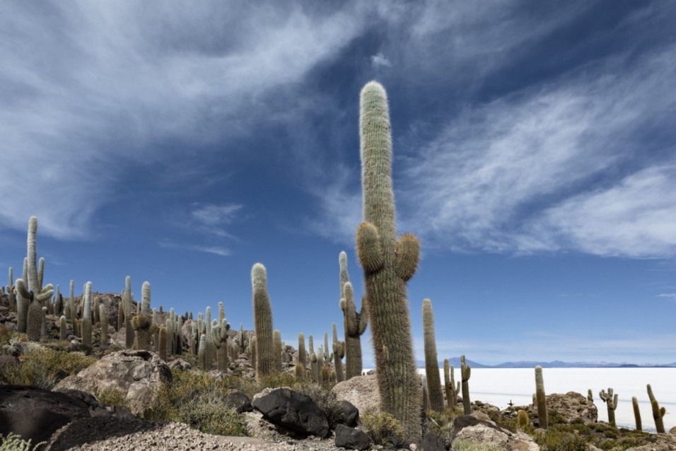 Salar de Uyuni, BO